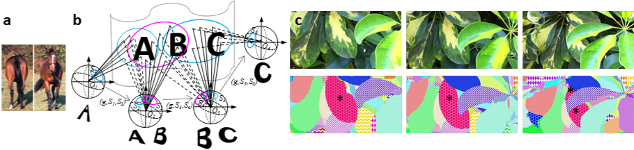 Object Segmentation – Tsao Lab